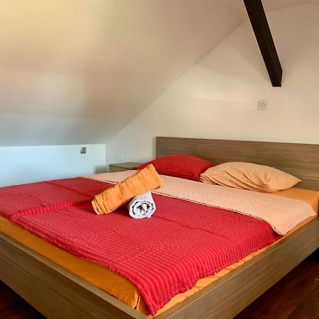 Peachy House Bezigrad 호텔 류블랴나 외부 사진
